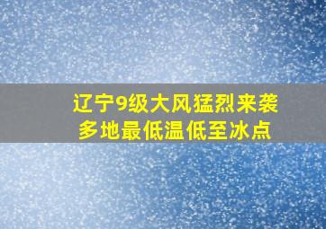 辽宁9级大风猛烈来袭 多地最低温低至冰点